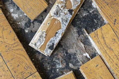 Background, texture of the surface of an old wooden parquet Stock Photos