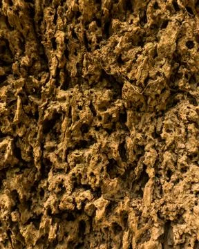 Background texture of a termite mound Bark Stock Photos