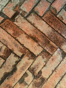 Background  texture of terracotta old brick tiles used in a path Stock Photos