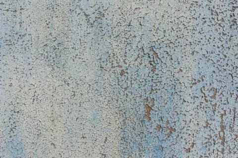 Background texture tree peel off blue Stock Photos