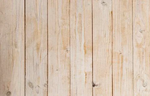 Background texture of  tree Stock Photos