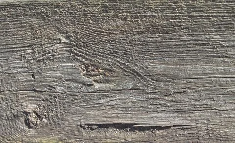 Background with the texture of untreated old wood Stock Photos