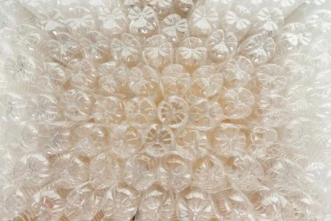 Background texture of upturned plastic bottles Stock Photos