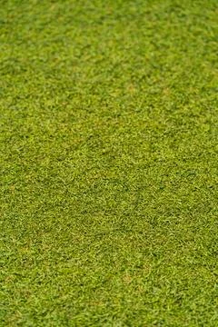 Background texture of used artificial grass, central part focused and upper.. Stock Photos