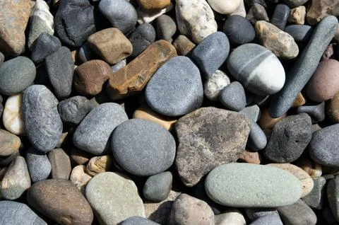 Background texture. Various stones on the beach on a sunny day. Foto stock