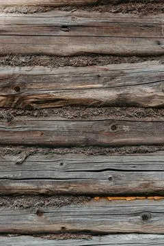 The background texture of the wall is made of brown old wooden boards. Close-up. Stock Photos