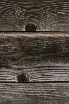 The background texture of the wall is made of gray old wooden boards. Close-u Stock Photos