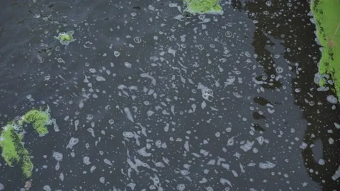 Background texture waste dirt foam water sewer Stock Footage 139468952