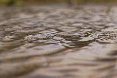 Background texture of the water puddle Stock Photos
