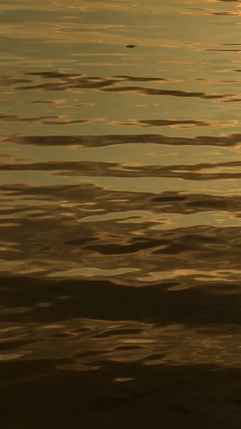 Background texture water in the river Stock Footage 159140125