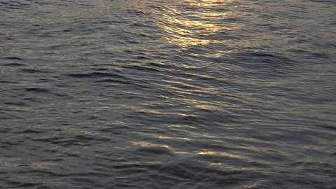 Background texture water on the river golden glare Stock Footage 147587479