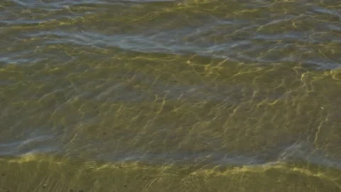 Background texture water river waves sand Stock Footage 139280698