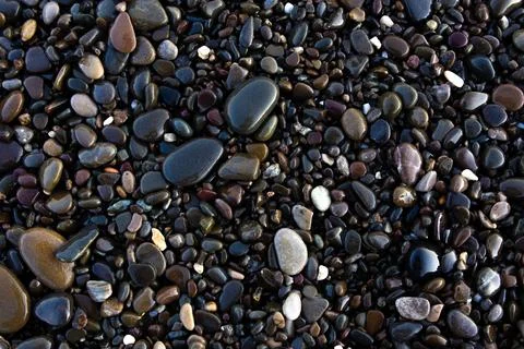 Background texture of wet pebbles on the seashore Fotos Stock