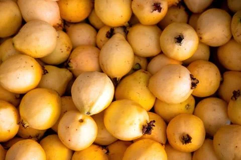 Background texture of whole guavas with copy space Stock Photos