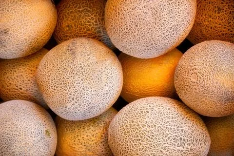 Background texture of whole melons with copy space Stock Photos