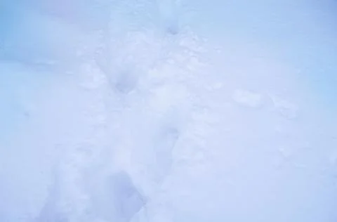 Background texture of winter snow 스톡 사진