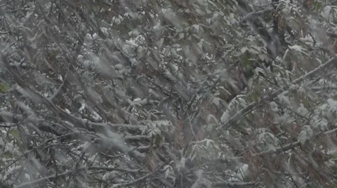 Background. Texture. Winter. Is thick snow on the wooden background. Video stock 66878771