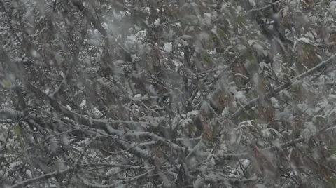 Background. Texture. Winter. Is thick snow on the wooden background. Video stock 66878971
