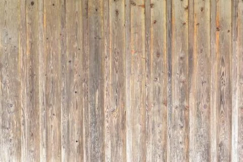 Background texture of wood, natural pattern Foto stock