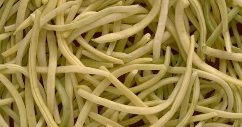 Background texture of yellow French beans, Golden Teepee variety. Stock Footage 345086731