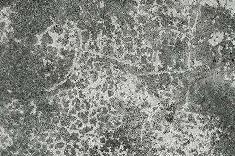 Background textures concrete gray dark cracks and spots with blots. an old Stock Photos