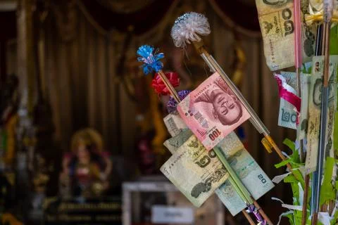 The background of Thai Baht notes decorated on the money tree for Buddhist te Stock Photos