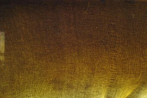 Background with thin gauze canvas Foto stock