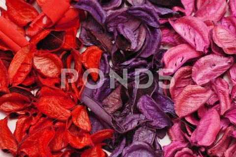 Background with three colours of dry leaves Stock Photos