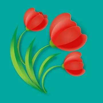 Background three red tulip flowers with green leaves vector illustration Stock Illustration