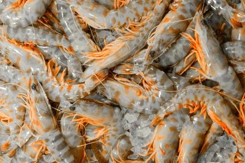 Background of tiger prawns on ice Stock Photos