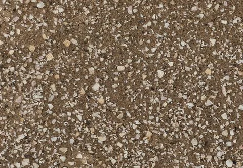 Background of tiny pieces of white shell Foto stock