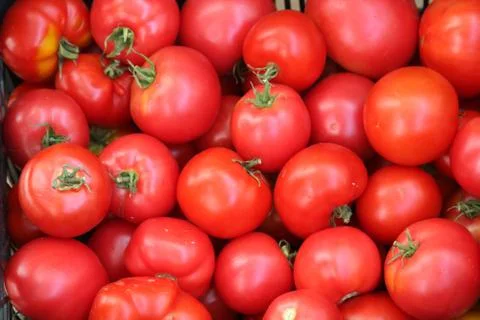 Background of tomato Stock Photos