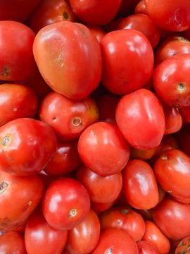 Background of tomato vegetable fruit at a fruit vendor Stock Photos