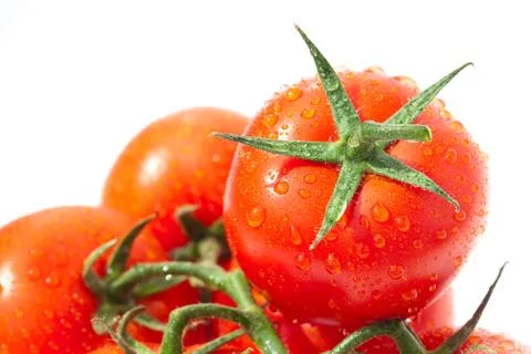 Background of the tomato with water drops Foto stock