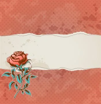 Background with torn paper and rose Stock Illustration