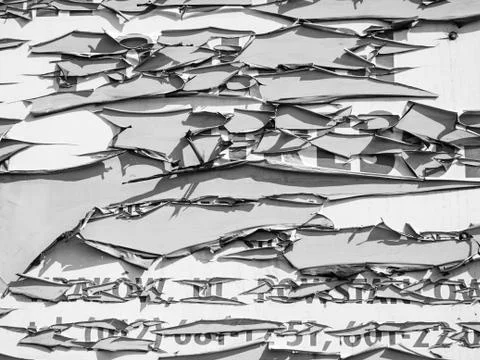 Background torn poster, torn paper background. Old grunge ripped torn vintage Stock Photos