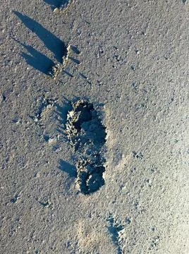 The background is a trace on the wet sand. Stock Photos