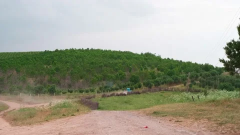 In the background, a tractor is driving along a dirt road Stock Footage 194544946