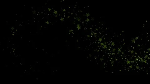 Background trail lines Cannabis Green leaves. Cannabis Explosion. Animation of g Stock Footage 341912957