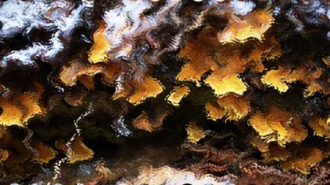 Background transforming abstraction Vídeo Stock 145306372