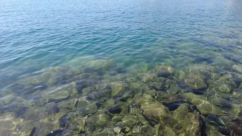 Background of transparent sea water. Stock Footage 169487214