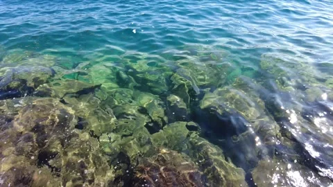 Background of transparent sea water. Stock Footage 169489850