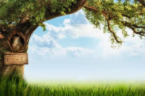 Background with a tree and an owl Stock Illustration
