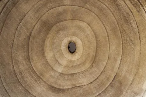 Background of a tree Stock-Fotos