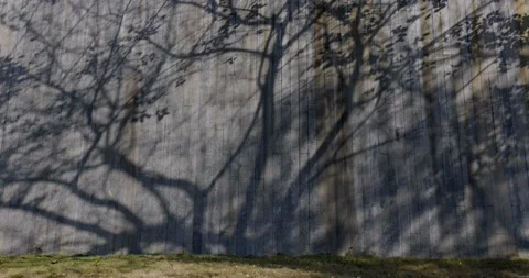 Background - tree shadows on the wall in the park Stock Footage 233190364