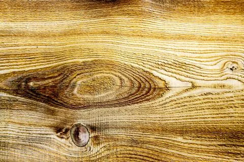 Background of the tree structure Stock Photos