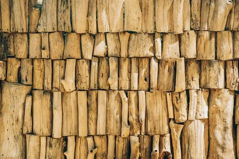 Background of tree trunks, close-up of a fence made of tree logs. a lot of sawn Stock Photos