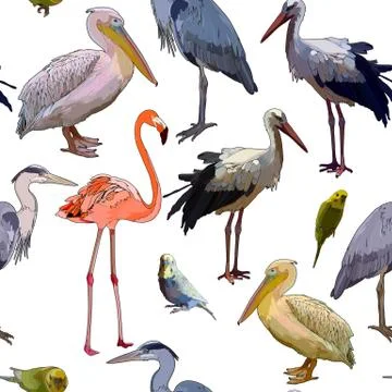 Background with tropical birds Illustrazione stock