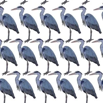 Background with tropical birds 库存插图