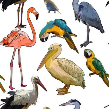 Background with tropical birds Stock Illustration